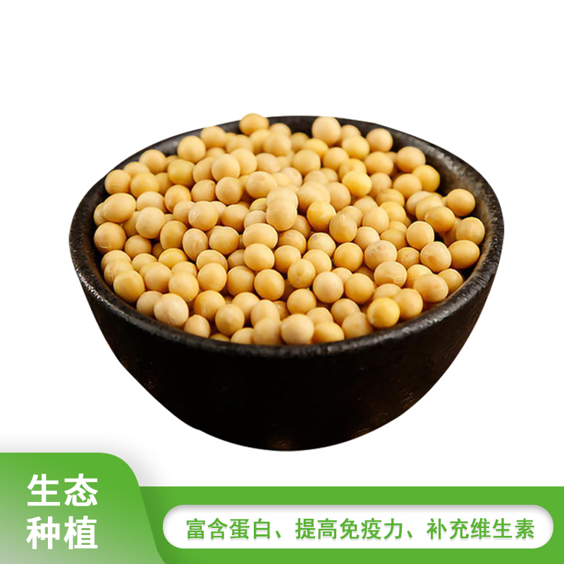 黄豆500g