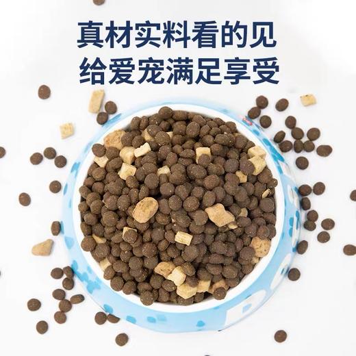豆柴 冻干系列 全价狗粮 1.5kg/10kg/包 商品图2