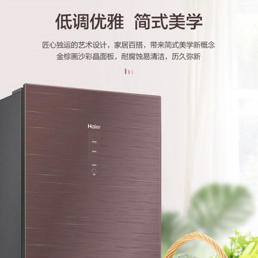 海尔（Haier）冰箱BCD-220WDGR 商品图2