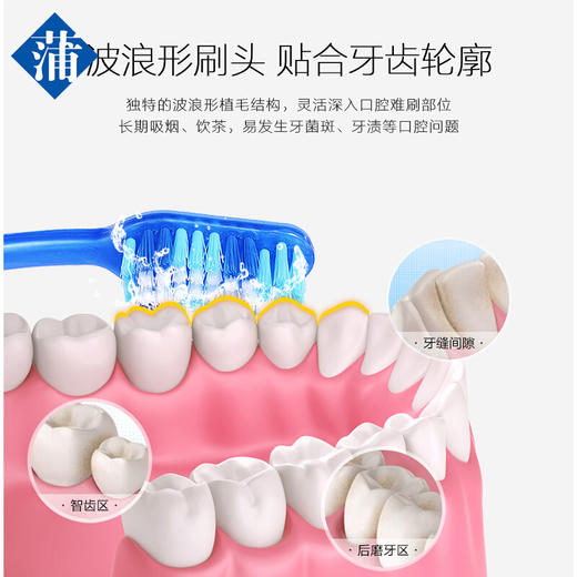 Y| 蒲地蓝可炎宁口腔专护家用软毛成人牙刷小头软单只装 情侣旅行牙刷 【牙渍口气】专护牙刷5号1支（颜色随机发） 1支 商品图3