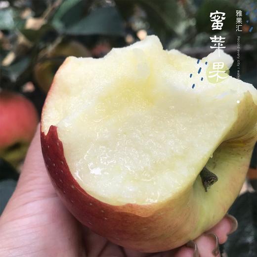 日本蜜苹果 商品图1