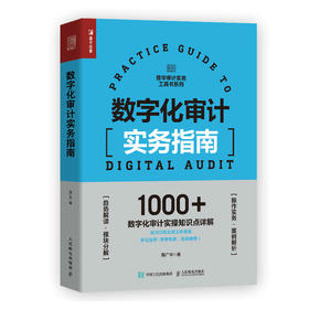 数字化审计实务指南 审计实务工具书实务指南财务会计书籍