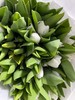 【荷兰郁金香】 白色 （维珍白30克）10支/扎 商品缩略图4