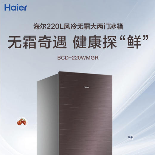 海尔（Haier）冰箱BCD-220WMGR 商品图1