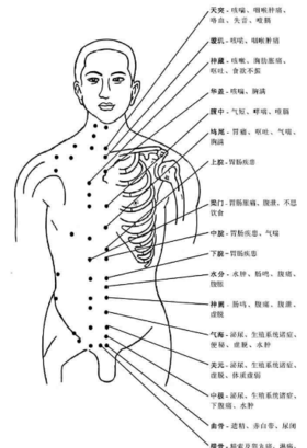 为什么“四总穴歌”这么重要？善用这4个穴位，你就是名医！ 