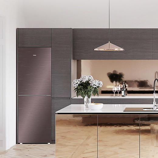 海尔（Haier）冰箱BCD-220WMGR 商品图9