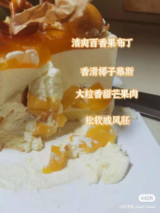 夏日风情-椰子慕斯 商品图1