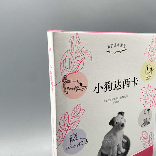 小狗达西卡 令温斯顿•丘吉尔爱不释手的世界经典；捷克文学大师恰佩克家喻户晓的温情之作 商品图2