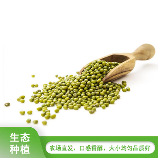 绿豆500g 商品图0