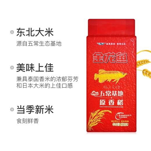 【5.9元/袋】金龙鱼原香稻500g（0102088） 商品图3