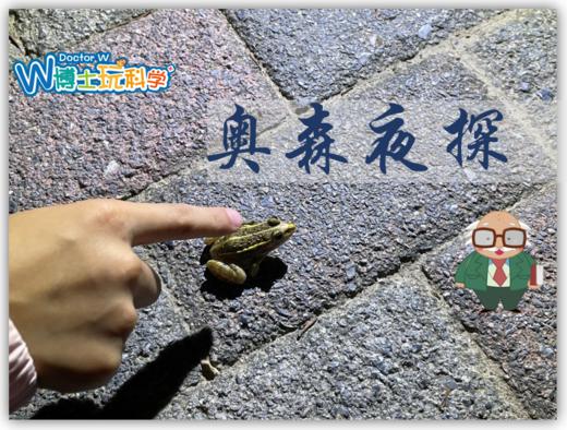 【北京】奥森夜探-寻虫记 商品图1