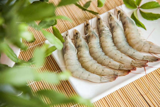气冻大虾（盐冻大虾） 商品图0