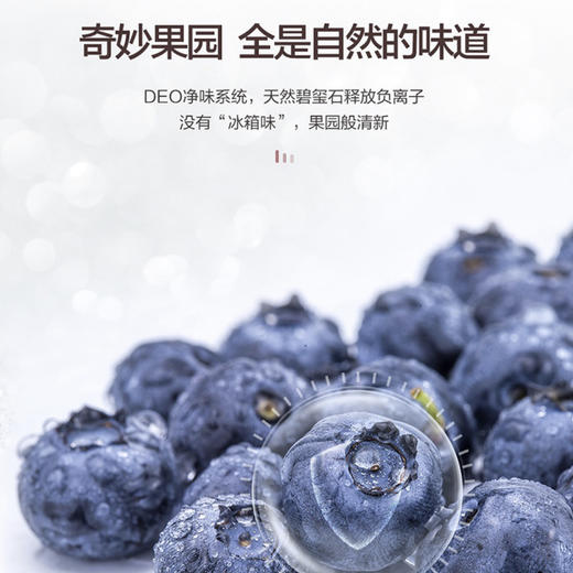 海尔（Haier）冰箱BCD-220WMGR 商品图6