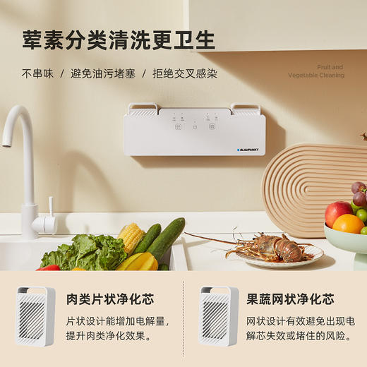 蓝宝果蔬净化清洗机 商品图0