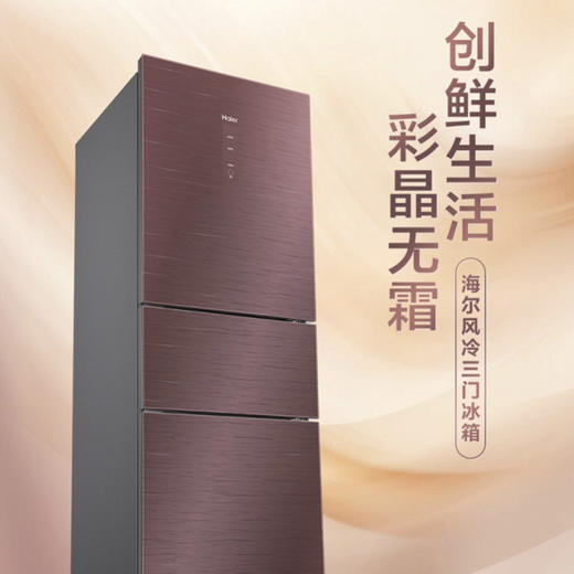 海尔（Haier）冰箱BCD-220WDGR 商品图1