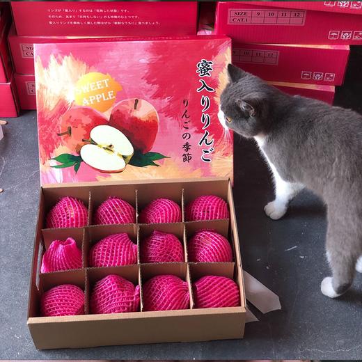 日本蜜苹果 商品图2