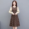 YW20817 大码长袖印花连衣裙女中长款2021秋装新款修身时尚气质优雅a字裙 商品缩略图0