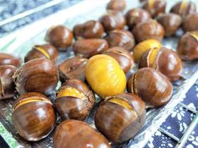 2021云南鲜摘生板栗嘎嘣脆！熟吃甜糯粉！烧鸡烧排骨更是美味！ 