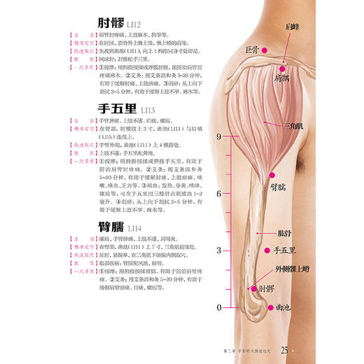 经络穴位标准图册 商品图8