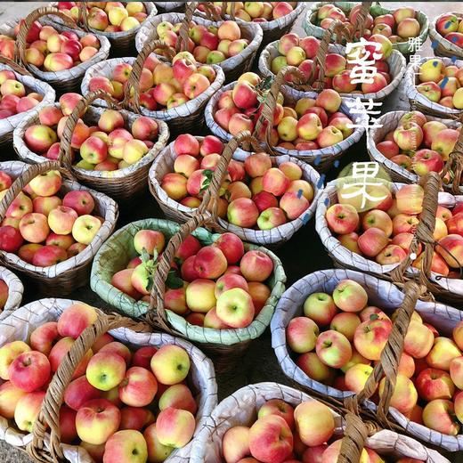 日本蜜苹果 商品图3