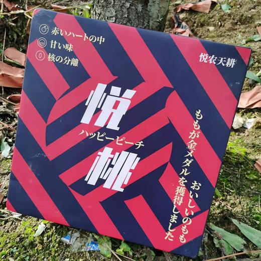 悦农天耕-悦桃 商品图1