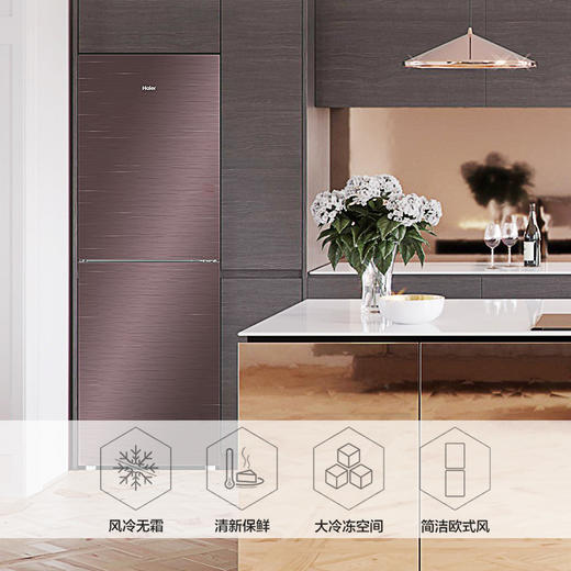 海尔（Haier）冰箱BCD-220WMGR 商品图2