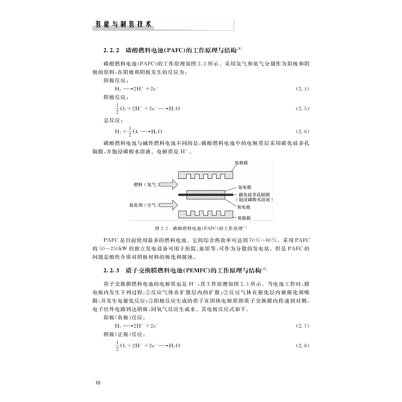 氢能与制氢技术(第二版)-样章_010.jpg