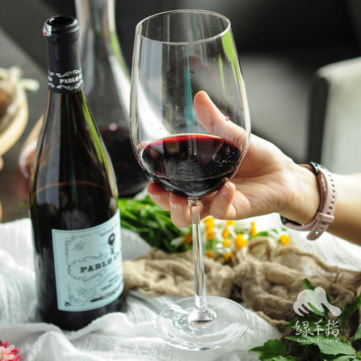 生物动力葡萄酒（有机）| 公平贸易*Biodynamic-wine（organic）| Fair-trade 商品图3