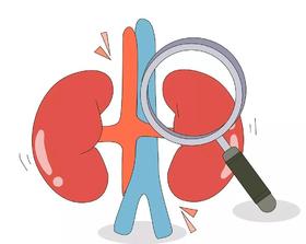 手臂经常麻、小腿容易抽筋？那是内脏在求救！