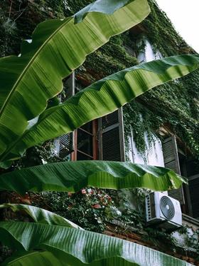 CHAIR COFFEE＆BOOKS和211的绿窗之约丨晚安书店 No.36 