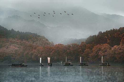 诗画洞头&丽水——瓯江帆影•海岛星空•松阳古村采风6天 商品图7