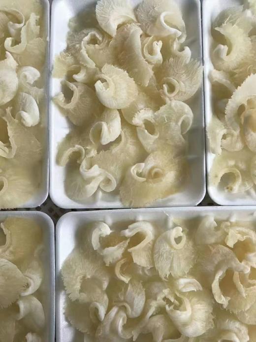 小金钩鱼翅250克/盒 商品图2