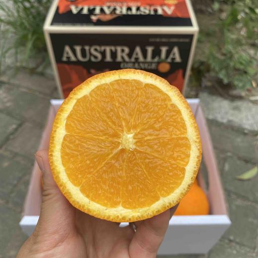 澳洲黑标3107橙 商品图7