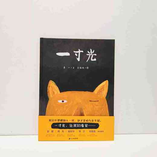 一寸光绘本 商品图1