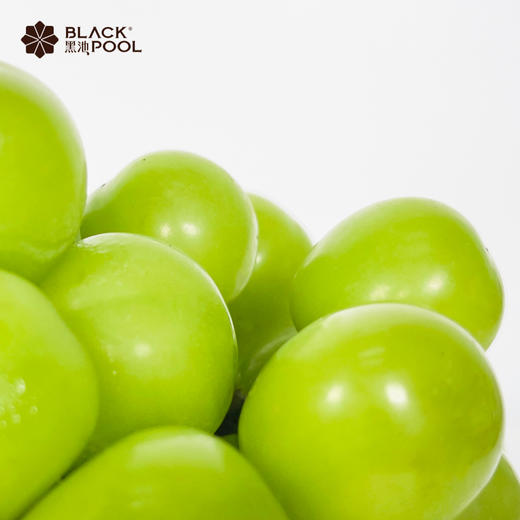 【翠玉· 香印青提软忌廉】法国进口铁塔动物奶油 新鲜青提，水分充足，香甜可口 商品图5