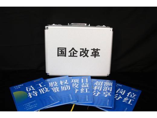 国企混改四大工具箱 商品图3
