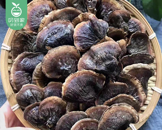 大兴安岭金边小灵芝礼盒/1盒（约250g）生产日期：25年12月补单专用 商品图2