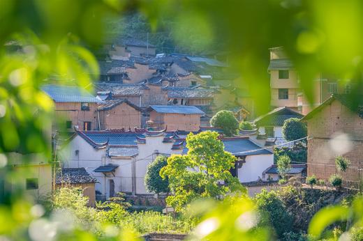 诗画洞头&丽水——瓯江帆影•海岛星空•松阳古村采风6天 商品图9