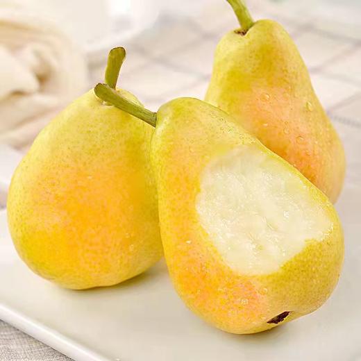 现货太婆梨大头梨红软啤梨5斤新鲜老婆梨莱阳香蕉洋茄水果梨包邮