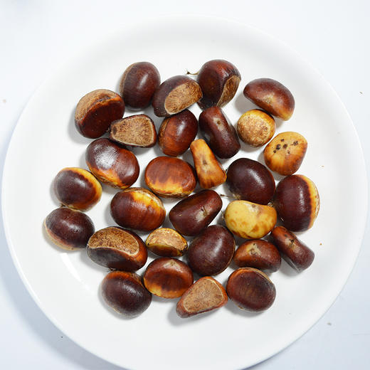 野生带壳板栗农户任晓华约500g份