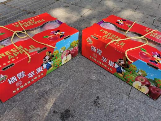 烟台富士苹果-米奇 商品图4