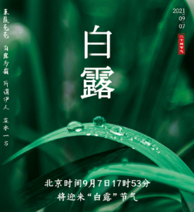  今日白露 | 凉风至，白露降，生津润肺防寒凉 