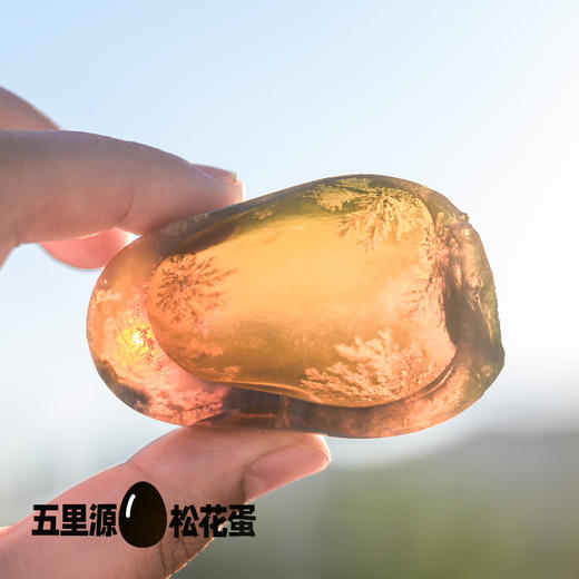 非遗 河南焦作五里源松花蛋 （蛋体打标更改为育坤） 中通快递 商品图8