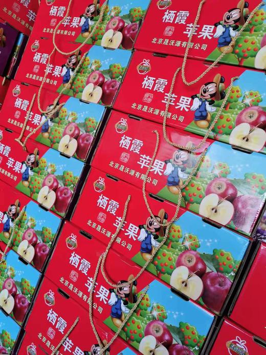 烟台富士苹果-米奇 商品图6