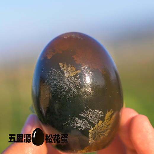 非遗 河南焦作五里源松花蛋 （蛋体打标更改为育坤） 中通快递 商品图4