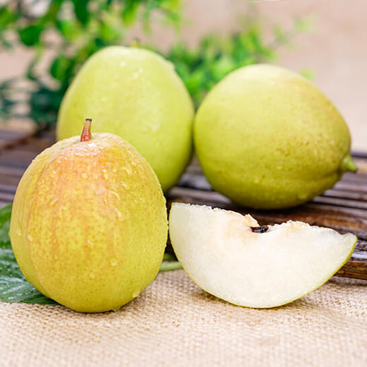 【会员9.5/斤】正宗新疆库尔勒香梨 特级 商品图2