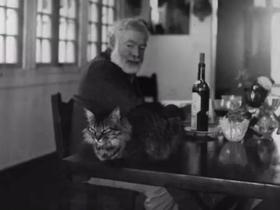  为什么爱书之人，都爱猫？丨回声评论NO.15 