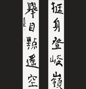 曾翔书法·近作精品 挺身举目联