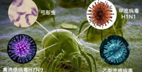  给螨虫“喝”点花椒水，比太阳暴晒强百倍！想要团灭除螨，就用它！ 