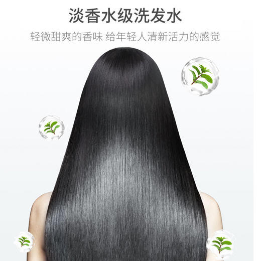 【超值装  第二瓶半价】泊紫汀兰除螨洗发水去屑止痒控油头皮屑神器氨基酸洗发露清螨男女 商品图2
